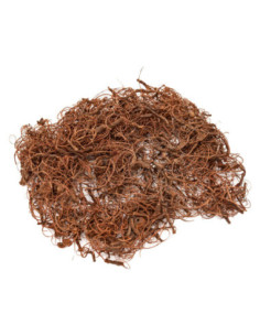 Colorations - Krullend Mos...