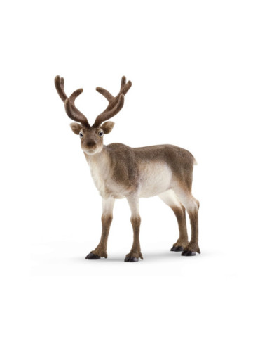 schleich WILD LIFE Rendier 14837