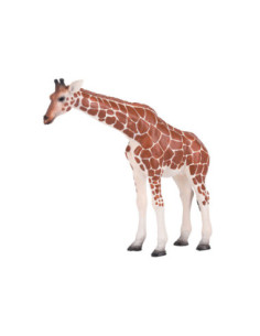 Mojo Wildlife Giraf...