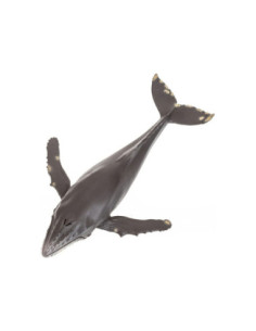 Mojo Sealife Bultrugwalvis...