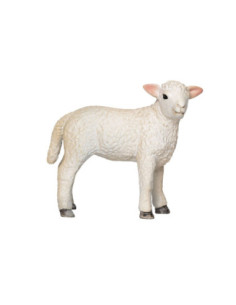 Mojo Farmland Romney Lam...