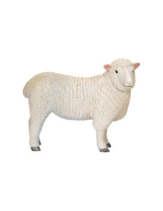 Mojo Farmland Romney Schaap...