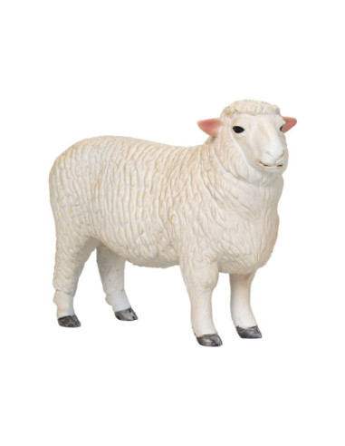 Mojo Farmland Romney Schaap Ram - 381063