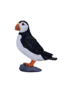 Mojo Sealife Atlantische...