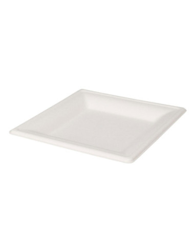 Wegwerpbordjes Vierkant 16cm 8st.