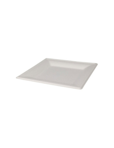 Wegwerpbordjes Vierkant 20cm 8st.