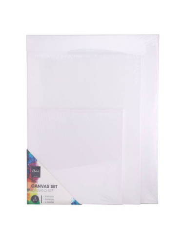 Canvas Schildersdoeken Set van 3