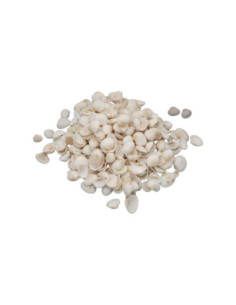 Colorations - Kleine Ark...