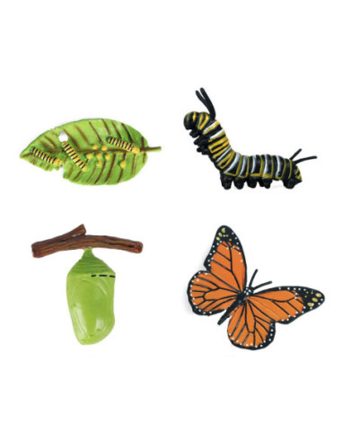 Levenscyclus Vlinder Speelfiguren Set