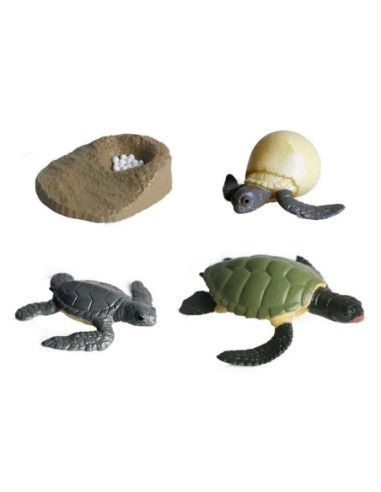Levenscyclus Schildpad Speelfiguren Set
