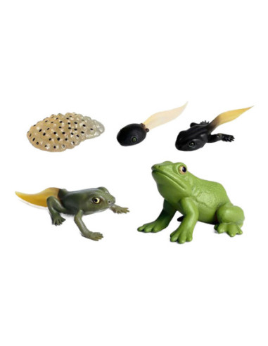 Levenscyclus Kikker Speelfiguren Set