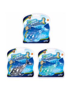 Duik Dolfijn met Licht