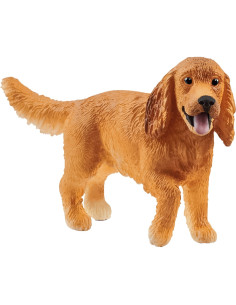 Engelse Cocker Spaniel...