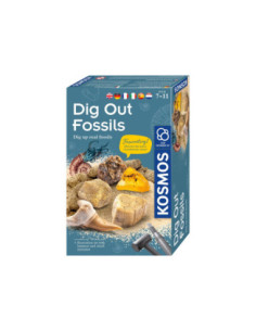 Kosmos Fossielen Uithakken
