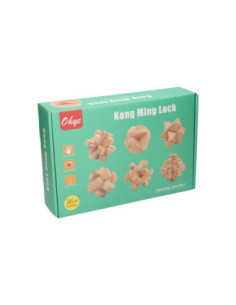 Houten Breinpuzzel Set 6st.