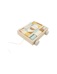 Houten Blokken Kar 25dlg.