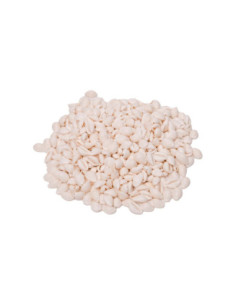 Colorations Zeeschelpen...