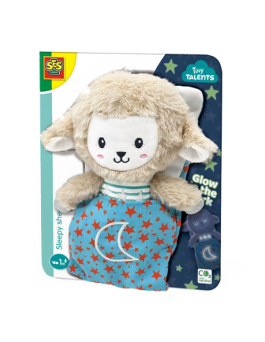 SES Tiny Talents Sleepy Schaap Night...
