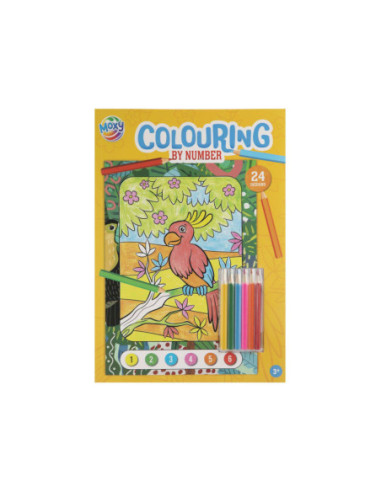 Kleuren op Nummer met 6 Kleurpotloden