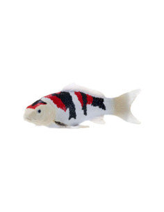 Mojo Sealife Koi Karper -...