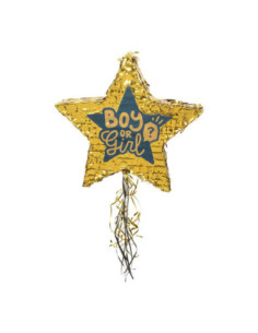 Trekpinata Boy or Girl