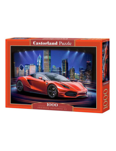 Castorland Legpuzzel Arrinera...