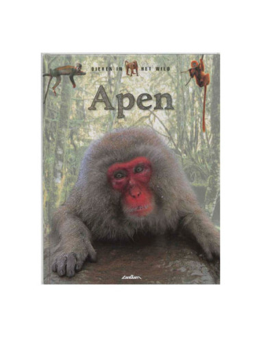 Dieren in het Wild - Apen