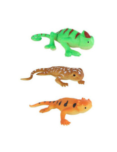 Jungle Expedition Stretch...