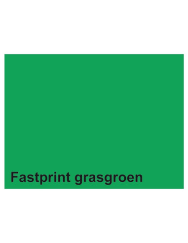 Kopieerpapier Fastprint A4 160gr...