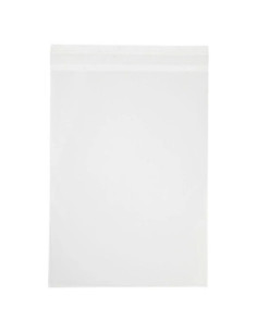 Cellofaan Zakjes, 23 x 17...