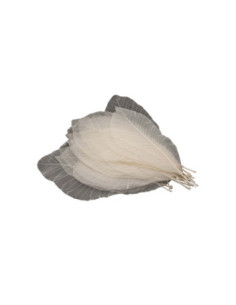 Lange Bladskeletten, 24st.