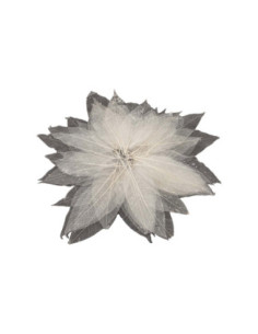 Magnolia Bladskeletten, 50st.