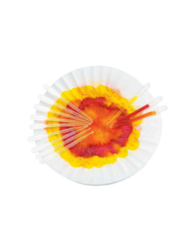 Colorations - Druppelaars 15cm, 12st.
