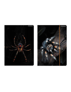 Map met Elastiek A4 Spin