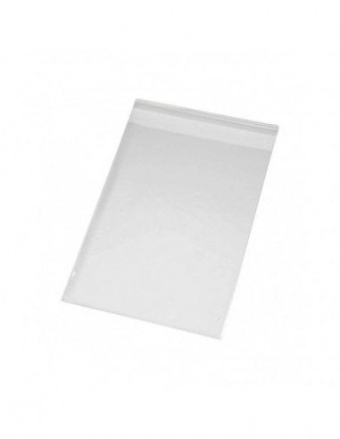 Cellofaan Zakjes 16 x 16 cm 200st.